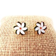 Oorbellen, stekers, haakjes