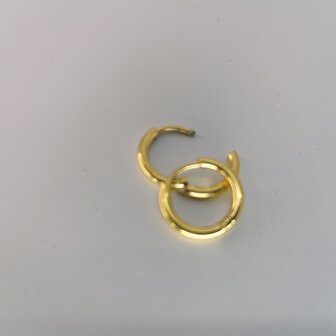 Oorringen, &Oslash; 10 mm, edelstaal, goudkleur
