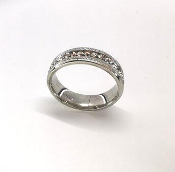 RVS &ndash; Elegant ring met 2 slanke gezilverstraalde banden midden rij strasssteentjes.