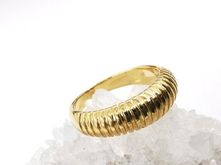 Ring, goudkleurig, RVS, met streepjes. 