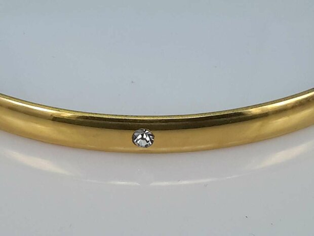 Edelstaal slaaf Armband goudkleurig met 6 kristal omheen.