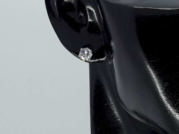 Edelstaal Oorknopjes, met 3 mm kristal.