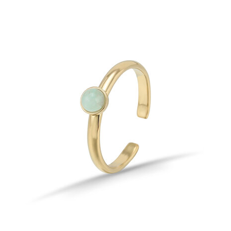 RVS goudkleurig Ring met Amazoniet Blauw edelsteen - Verstelbare