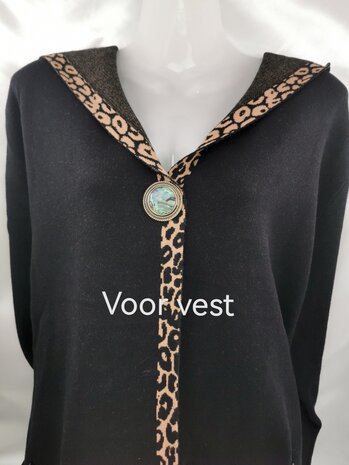 Magneet, broche, parelmoer rond, Goudkleurig voor omslagdoek, sjaal en vest te sluiten.