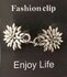 Clips, met  Edelweiss en midden een ring in kleur antiek zilver look. _